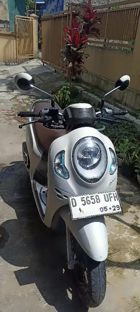 Scoopy prestige 2024