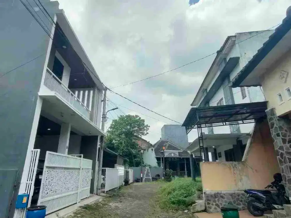 Terlangka Bunga Merak Dewandaru Andong Dekat Kampus Unibraw