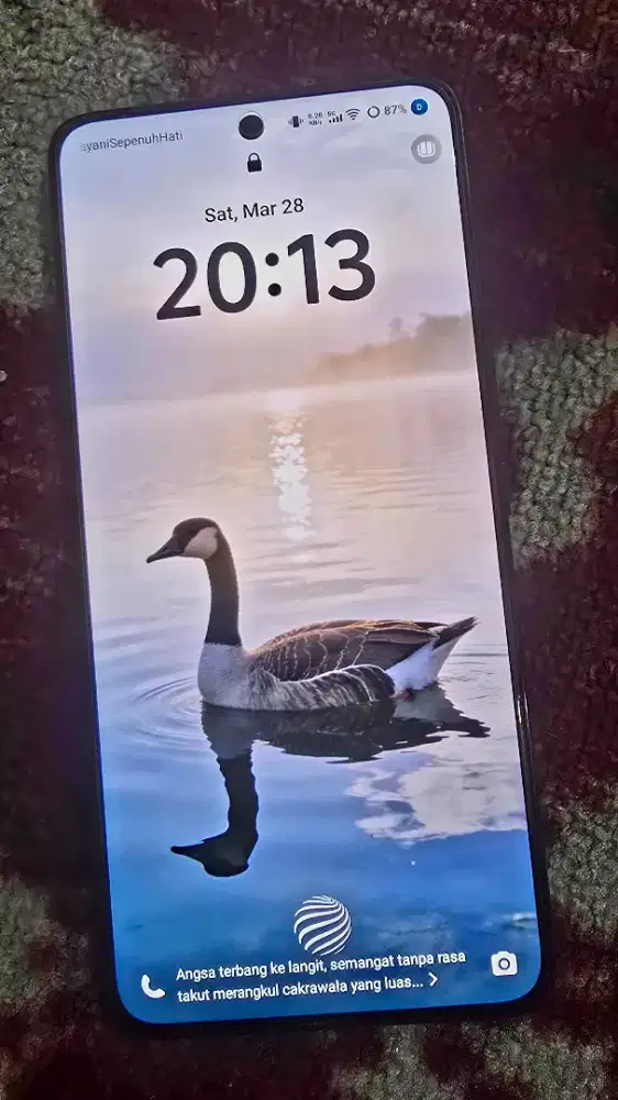 VIVO V50 5G 8/256GB RED ORIGINAL RESMI