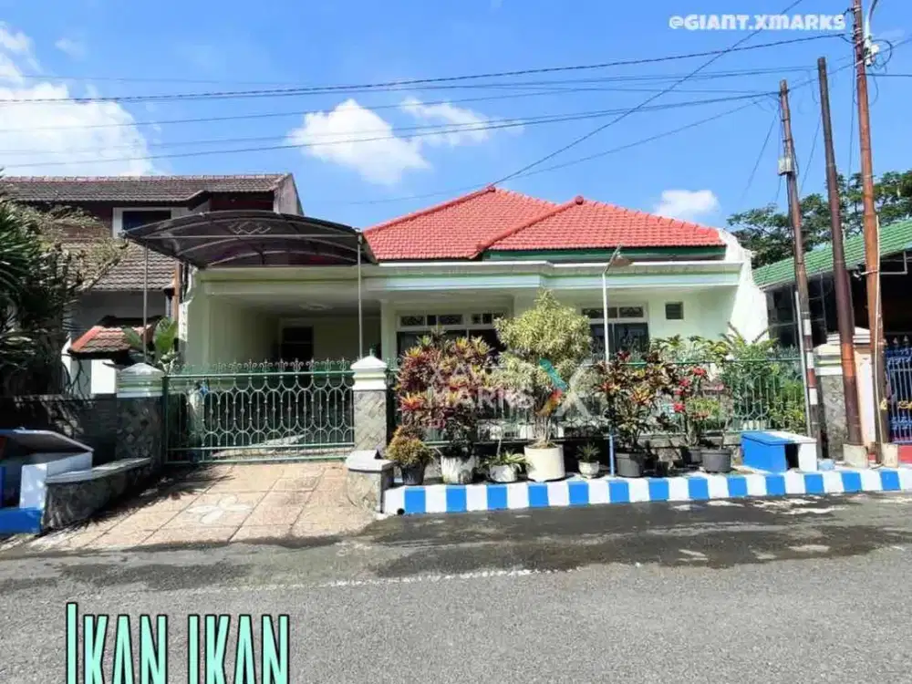 Rumah Siap Huni Harga Nego di Ikan ikan Lowokwaru Malang