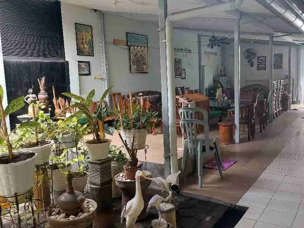 Rumah Lama Nusukan Dekat Tirtonadi Jual Cepat Bonorejo Surakarta Strategis dan Langka