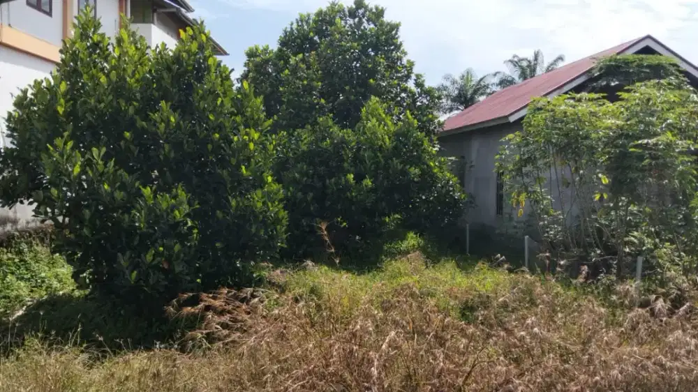 Dijual tanah Unib Belakang