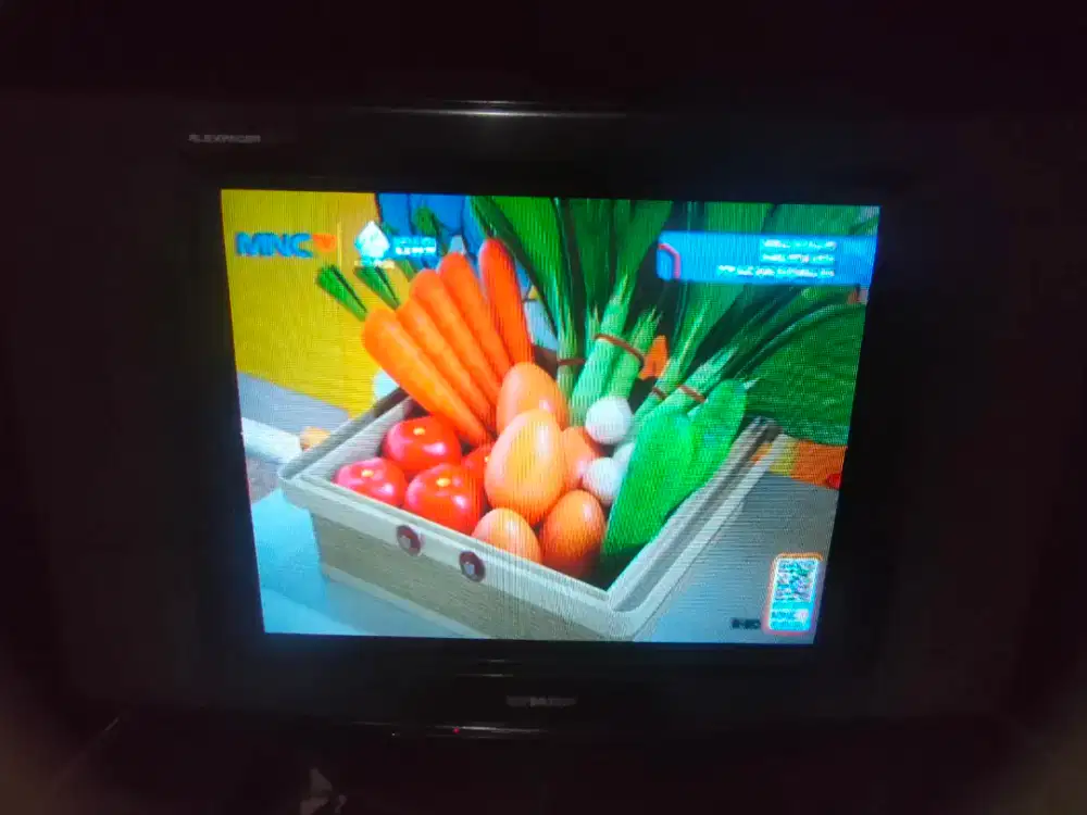 Tv tabung sharp, 21 in