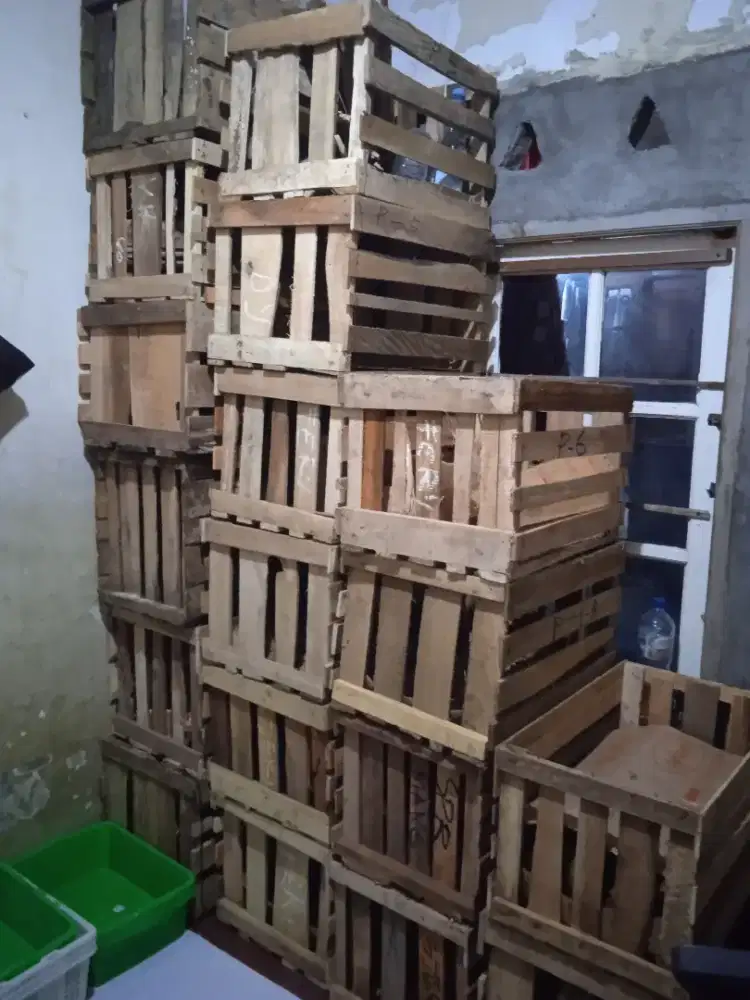 Di jual peti bekas buah alpukat