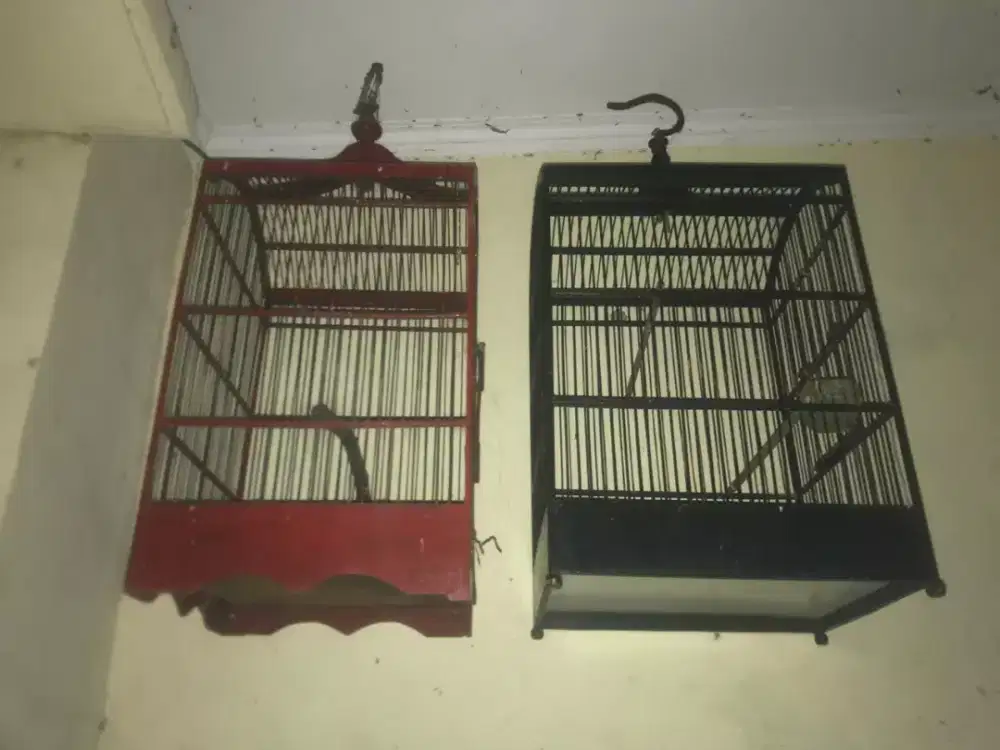 KANDANG BURUNG BAGUS