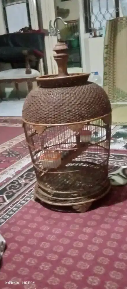 kandang kutut ori bagus