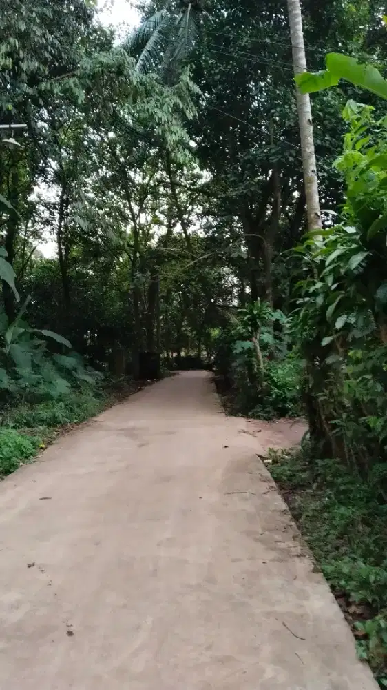 Dijual Lahan Murah di Jonggol Kabupaten Bogor