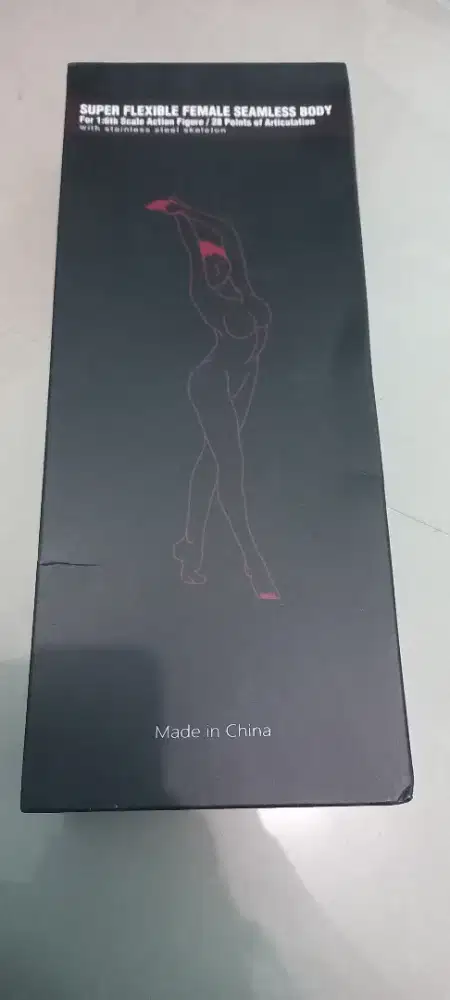 Seamless Body Female Action Figure Pale 1/6