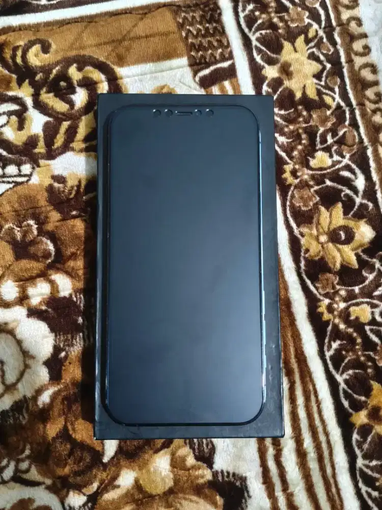 Iphone 12 Pro Max 256 Inter