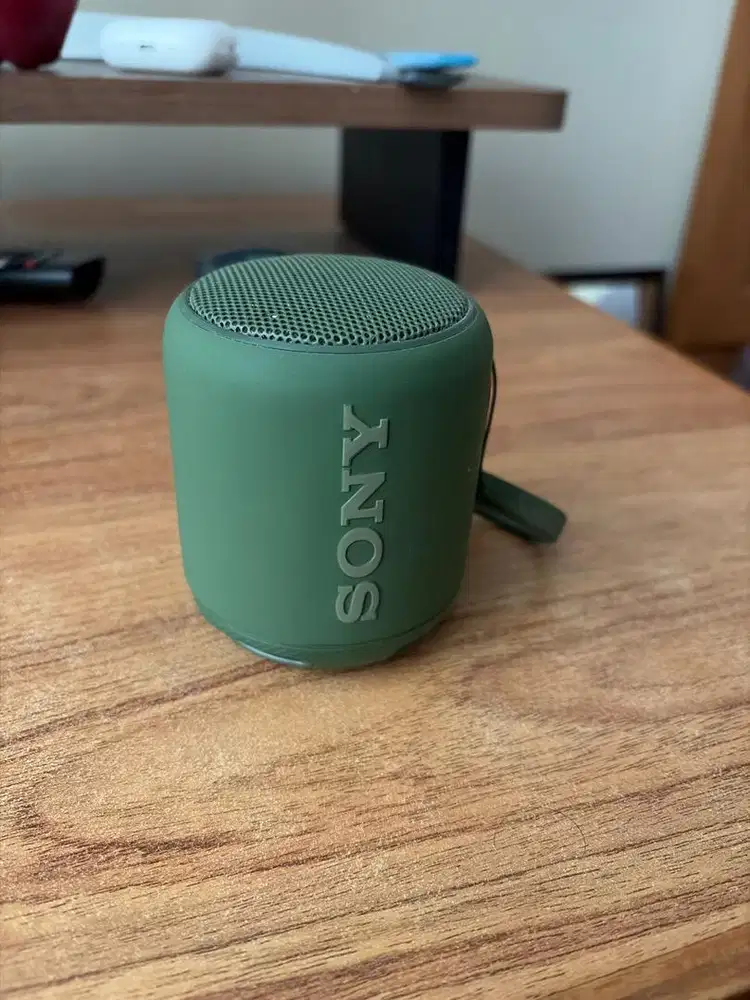 Speaker active Sony SRS-XB10