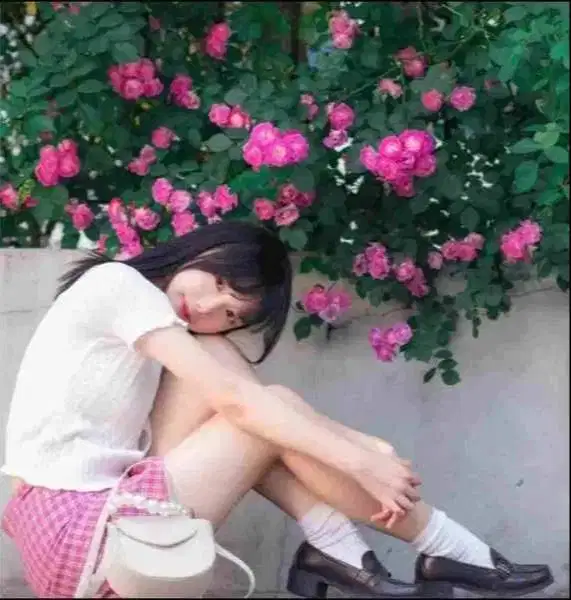 Sistem informasi akuntan laporan keuangan dan pajak ONLINE di Batam