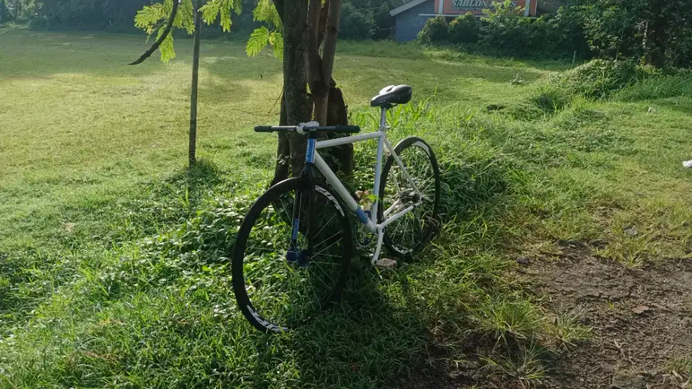 Sepeda Fixie United Solois