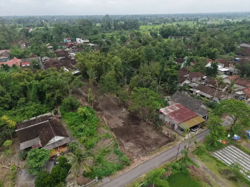 Tanah SHM Sleman Tropis dengan Hawa Sejuk Alami