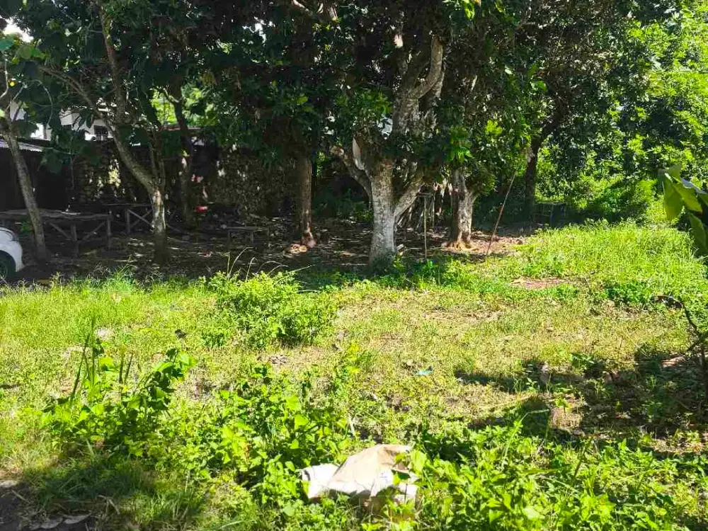 dijual tanah 5 are IDR 400 juta per are Kawasan toyaning 1 Ungasan Kuta Selatan Badung Bali