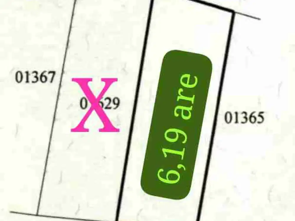 dijual tanah murah 6,19 are harga nett 350 juta per are  dekat SMP negeri 5 Kutuh Kuta Selatan Badung Bali