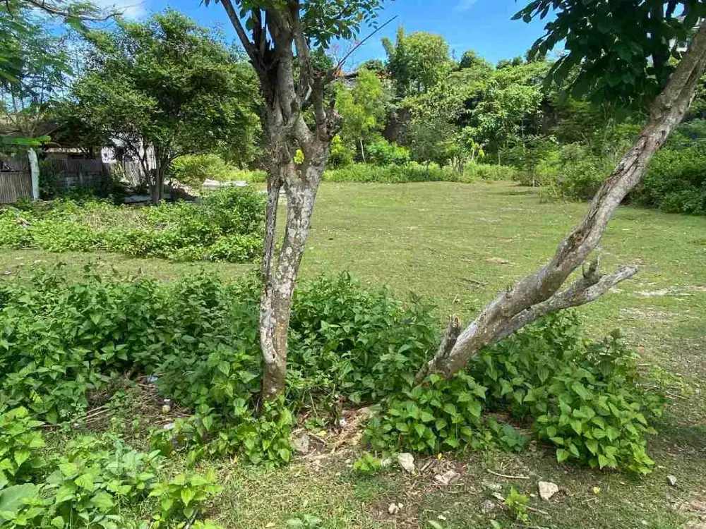 dijual tanah 30 are IDR 370 juta /are kawasan GWK ungasan Kuta Selatan Badung Bali