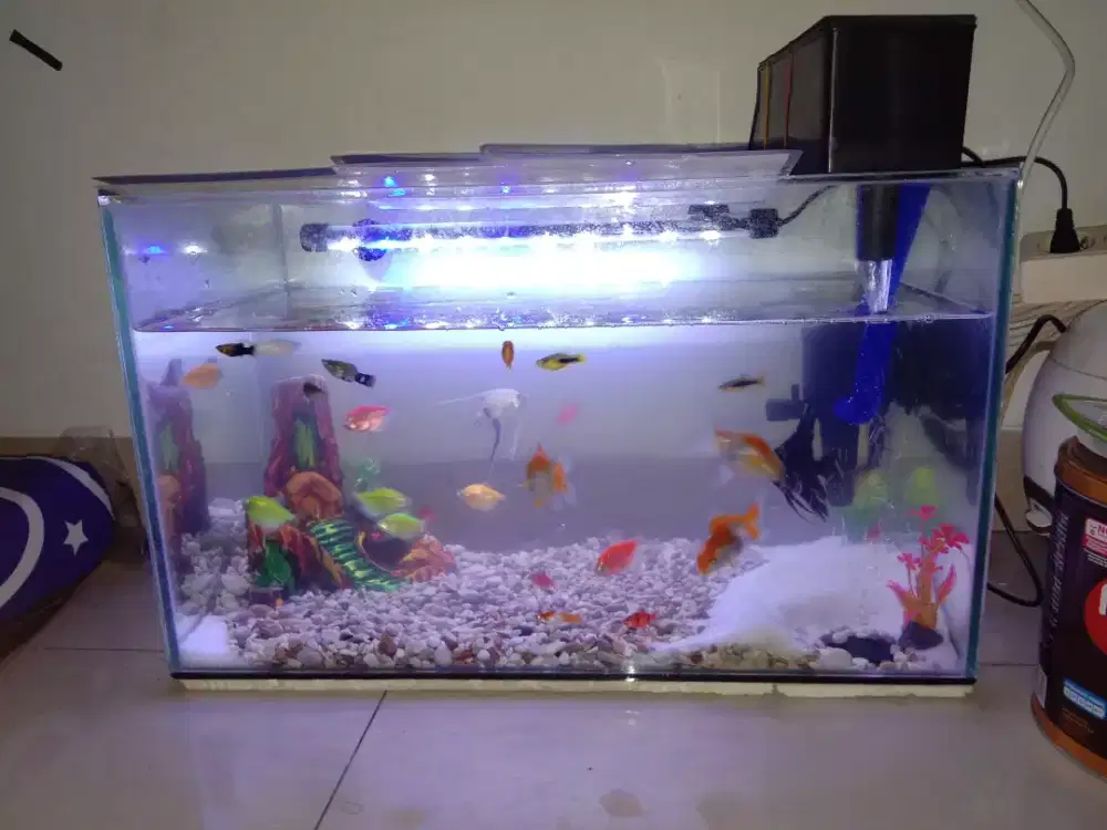 aquarium ikan bekas