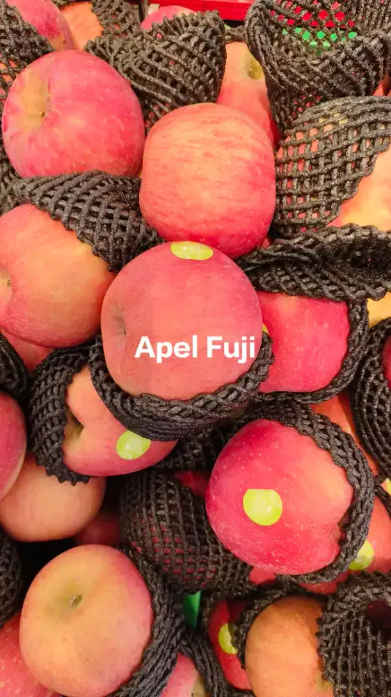 Apel Fuji 70rb 1kg