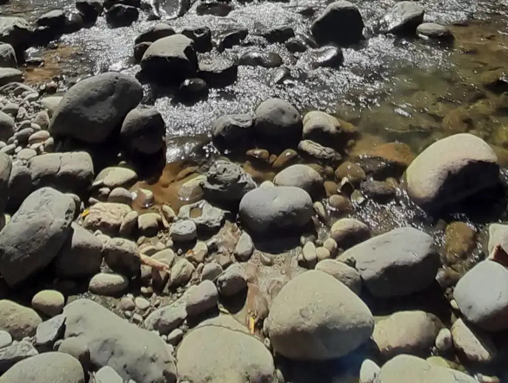 Lagi NYari Pekerjaan