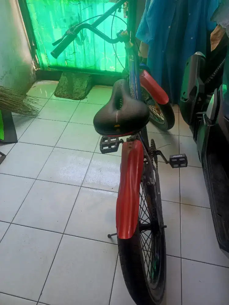 Sepeda Anak ukuran 20 Inch