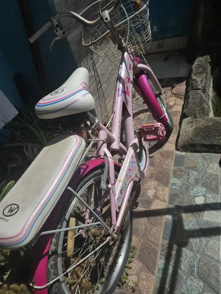 Sepeda Anak Perempuan Wimcycle Cupid