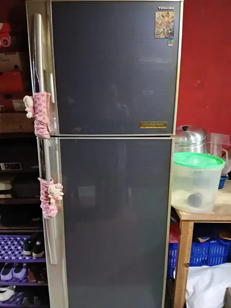 Jual Kulkas 2 Pintu Merek TOSHIBA