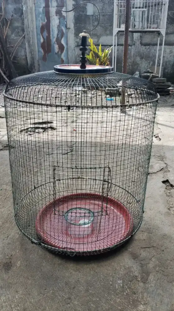 Kurungan ayam burung besar