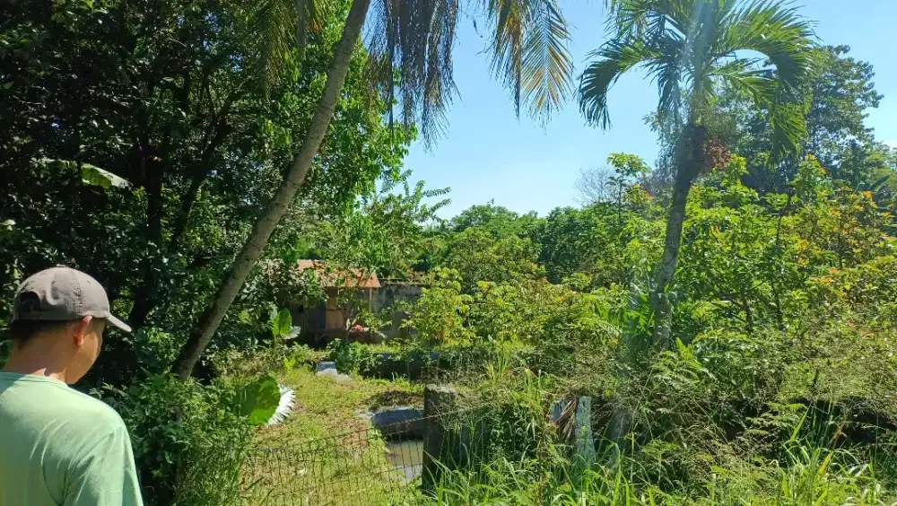 Tanah Kampung Dalam Kota Bogor cocok buat ternak/rumah kebun/perumahan