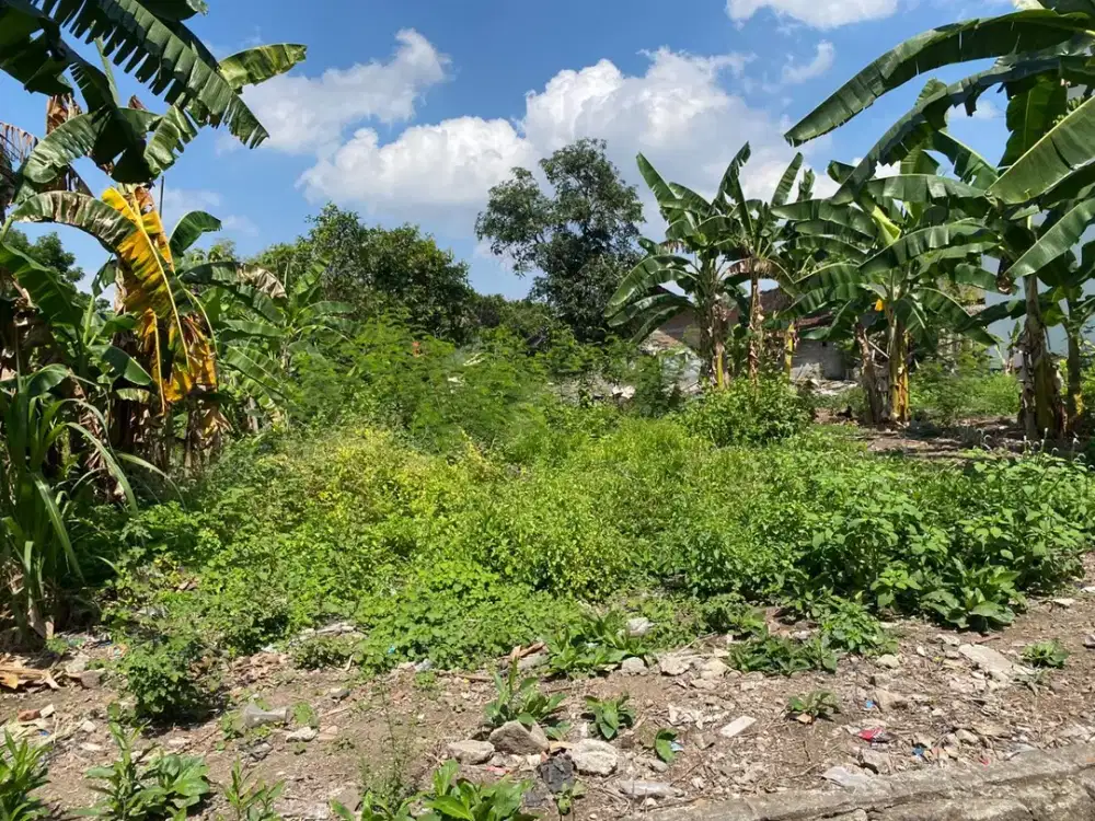 Tanah Prambanan SHM Ready 30 Meter Jl Jogja-Solo