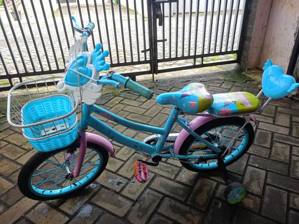 Jual sepeda anak roda
