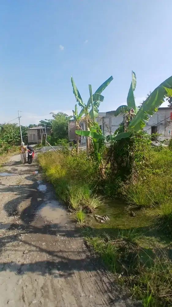 Tanah Dijual - Tampirejo Rowosari Tembalang Semarang (Depan Perumahan)