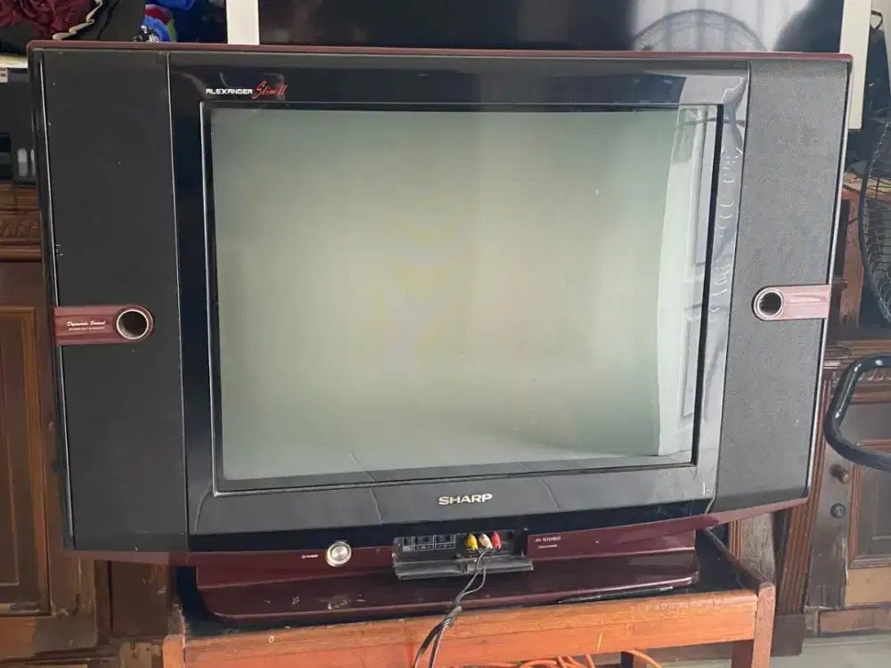 Sharp Alexander slim 29 inc |29DXS288MR