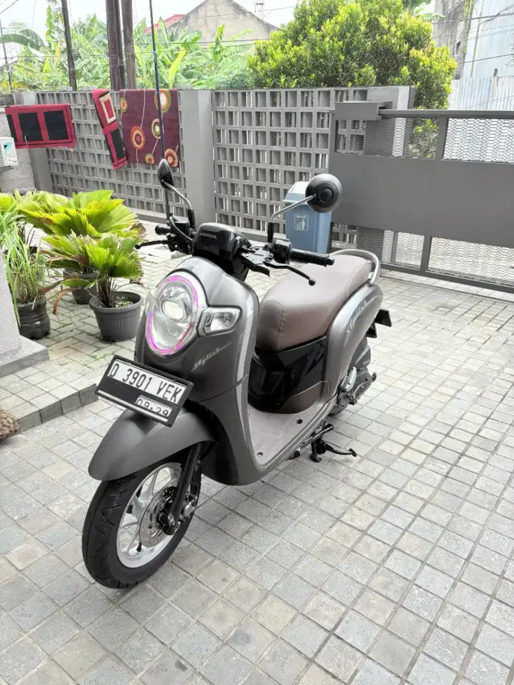 Scoopy Stylish 2019