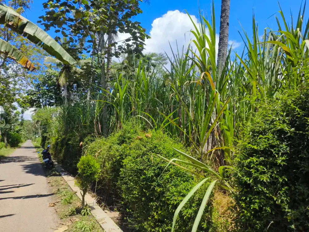 Tanah dijual– Pagedangan Turen, Dekat Jalan, Cocok Rumah/Investasi