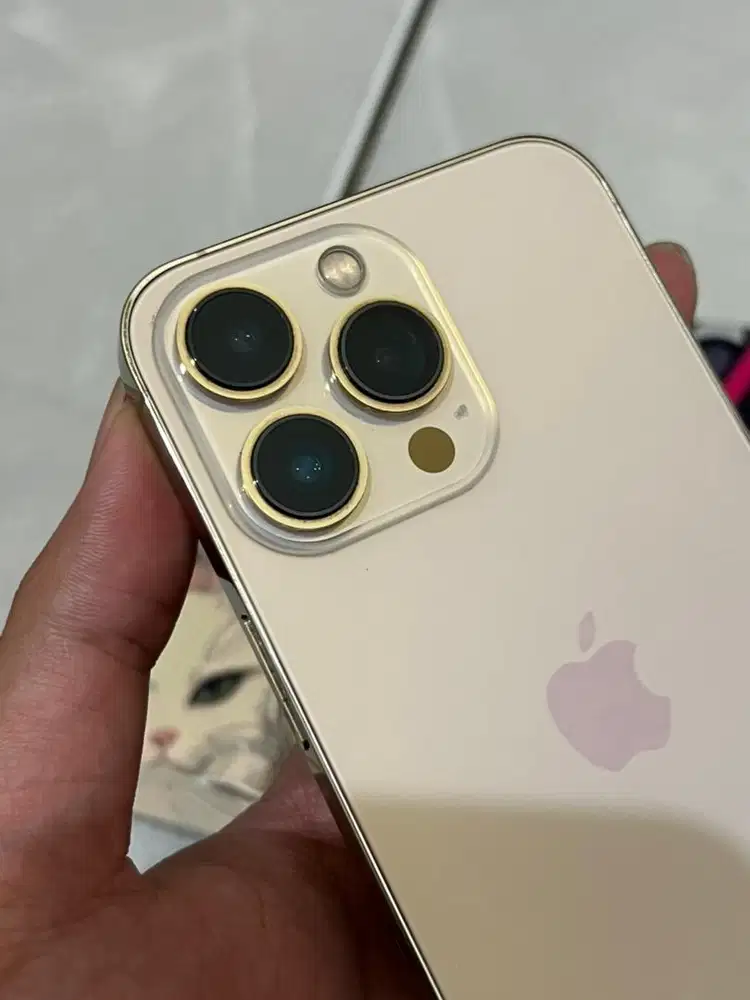 EX INTER IPHONE 13 PRO 128 GB GOLD (2ND BERGARANSI)