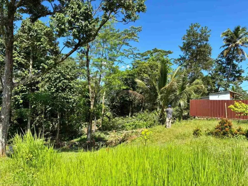 dijual tanah murah tanjungsari kab. bogor timur