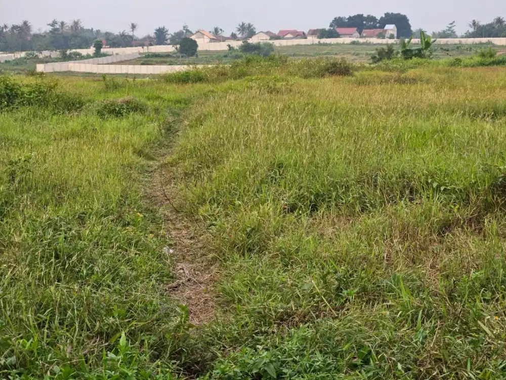 Dijual Tanah Lokasi premium di pinggir Jalan Raya Cikande – Rangkasbitung