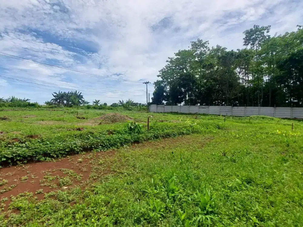 Tanah Tepi Jalan Cor Cisauk, Strategis Dekat Stasiun Jatake BSD