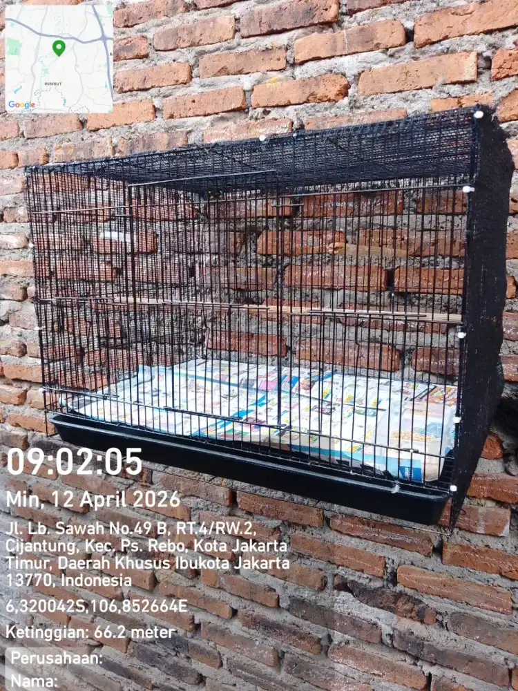 Kandang kotak ternak