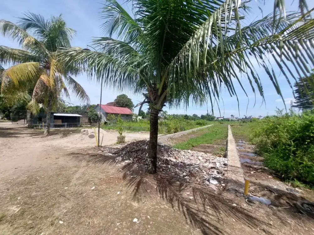 200 Jutaan Kavling SHM Dekat Kampus IPB, Bisa Cicil 12x Tanpa Bunga.