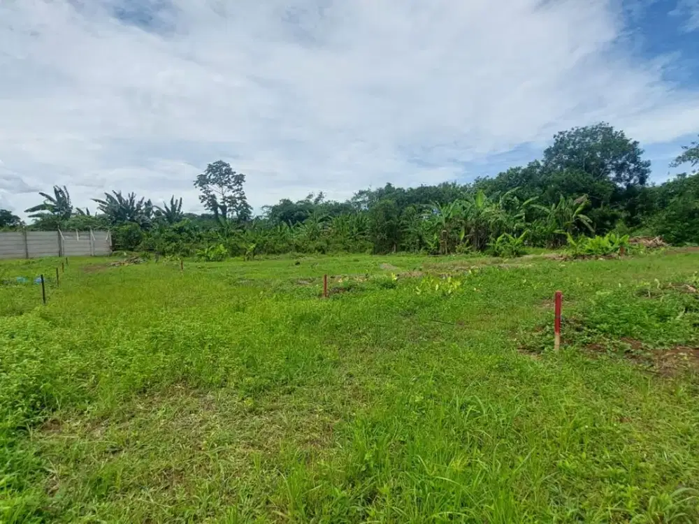 Tanah Strategis Cisauk 19 Menit Eastvara Mall, Akses Mobil