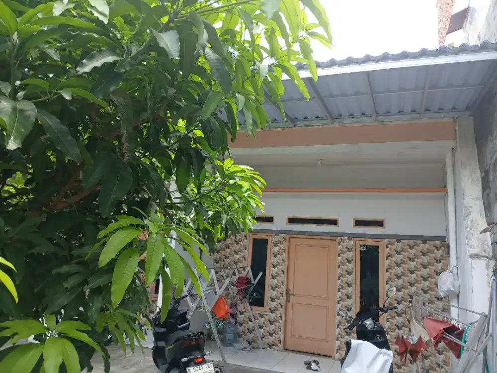 Rumah asri tengah kota utan kayu matraman jakarta timur