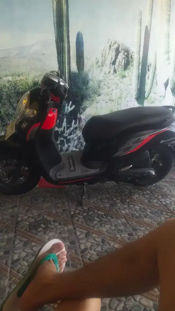 Scoopy ibu iibu