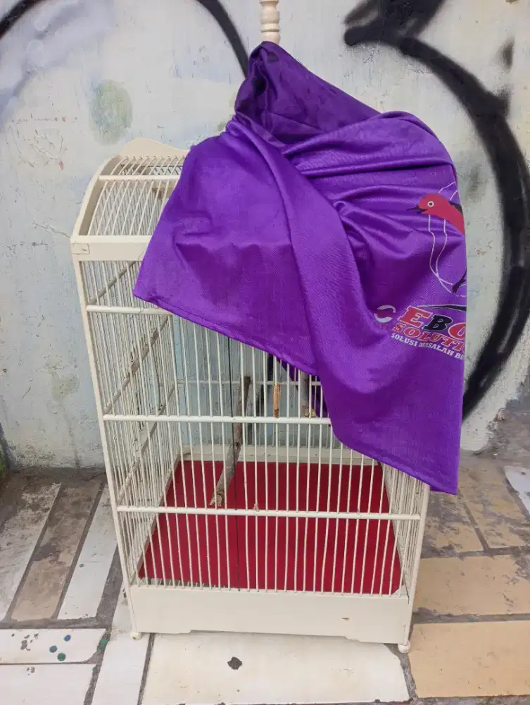 No 1 bekas Kacer minus Tatakan bawah GK ada