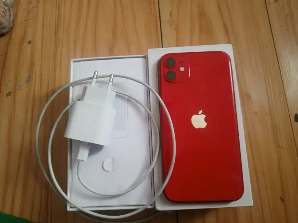 iPhone 11 inter Wifi only