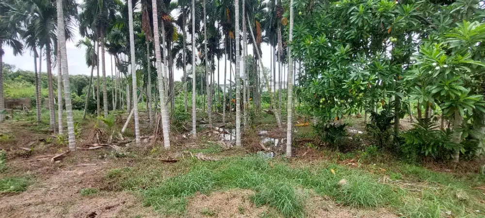 Tanah perumahan belakang RS Eka Hospital Pekanbaru