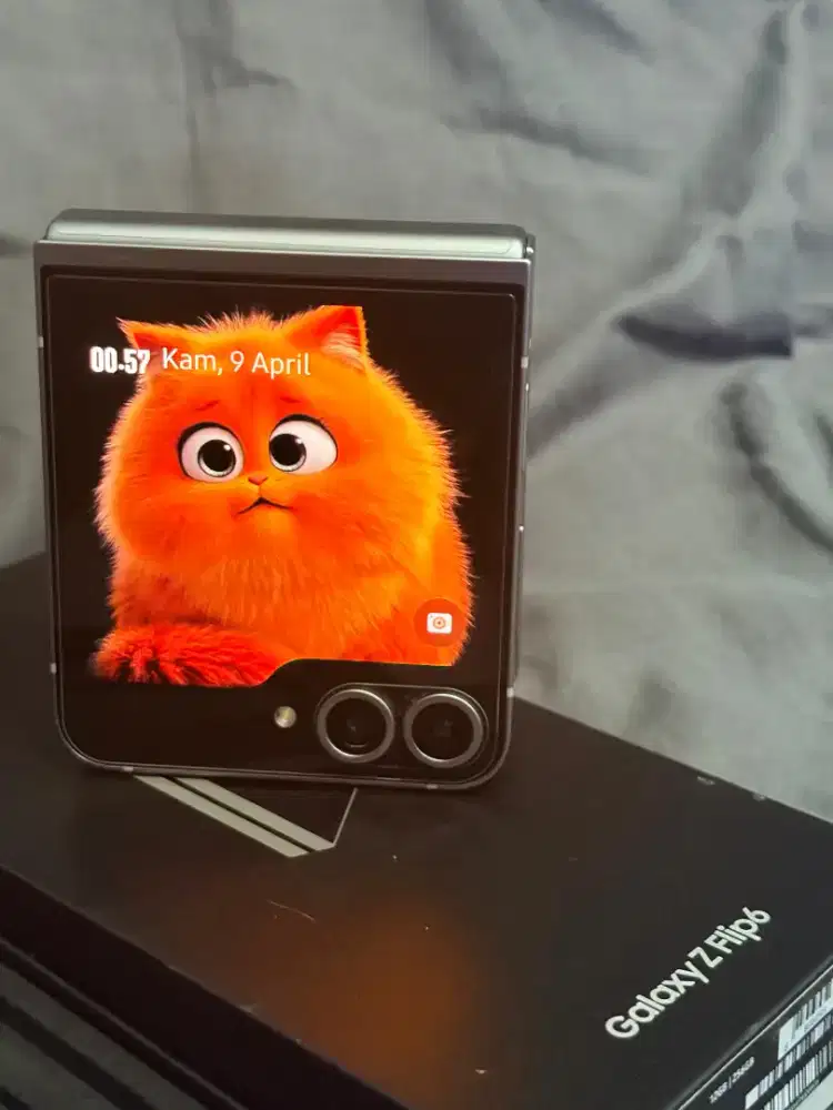 Samsung Z Flip 6 silver