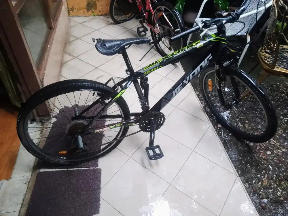 Sepeda JIEYANG bekas