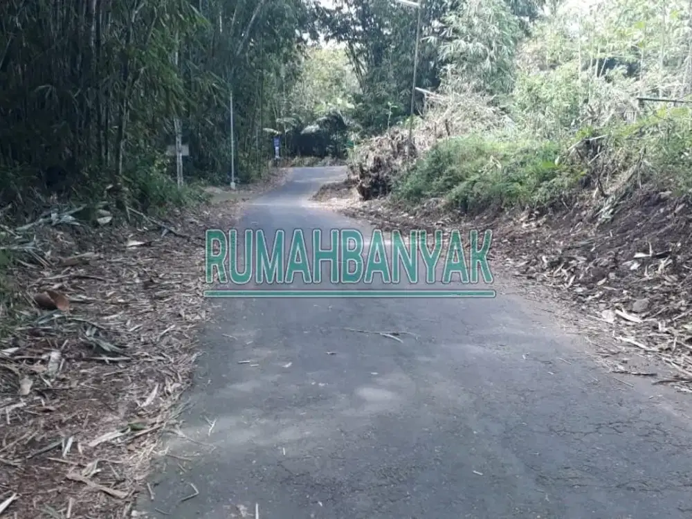 Dijual Tanah Murah 873 di Turi Cocok Untuk Investasi