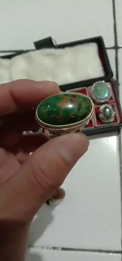 Pirus persia lawasan